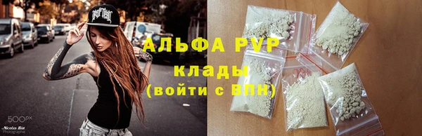 стафф Алексин