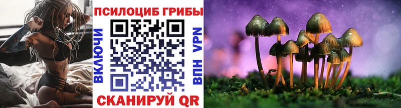 Галлюциногенные грибы Psilocybine cubensis  Благовещенск 