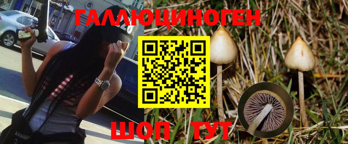 Галлюциногенные грибы Magic Shrooms Благовещенск
